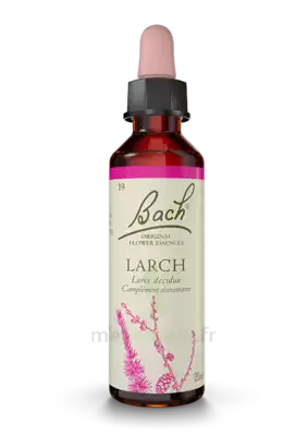 Fleurs De Bach® Original Larch - 20 Ml à Paray-le-Monial